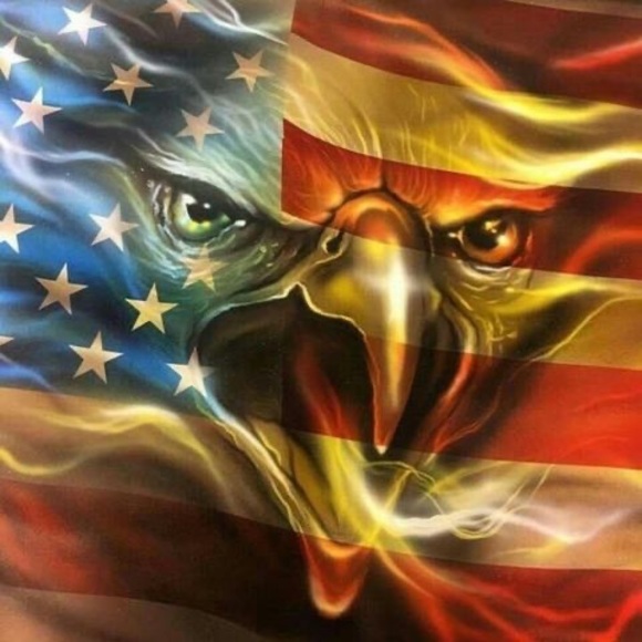 Meet your Posher, Dillon - Picture 1 of 1